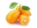 Kumquat