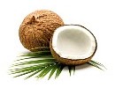 Coconut