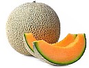 Cantaloupe