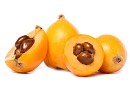 Loquat