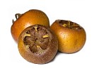 Medlar