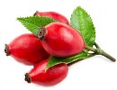 Rose hip