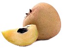 Sapodilla