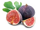 Fig