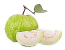 Guava