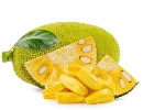 Jackfruit