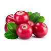 Cranberry