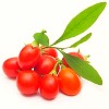 Goji berry