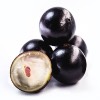 Jaboticaba