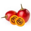 Tamarillo